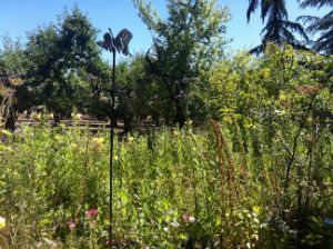 Garden-shot