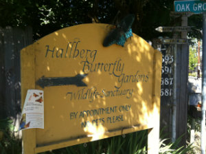 Hallberg-Sign