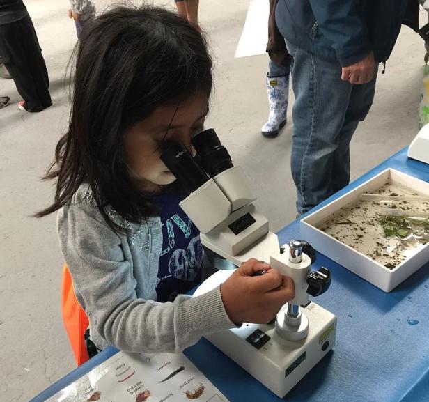 Child looks through microscope