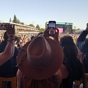 BottleRock fans