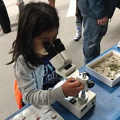 Child looks through microscope
